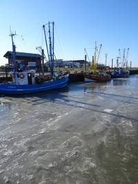 Dorumer Kutterhafen im Eis